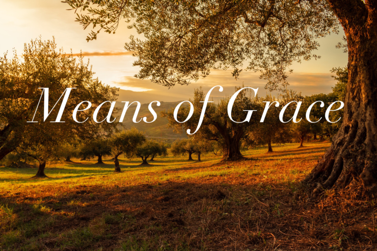 what are the means of grace